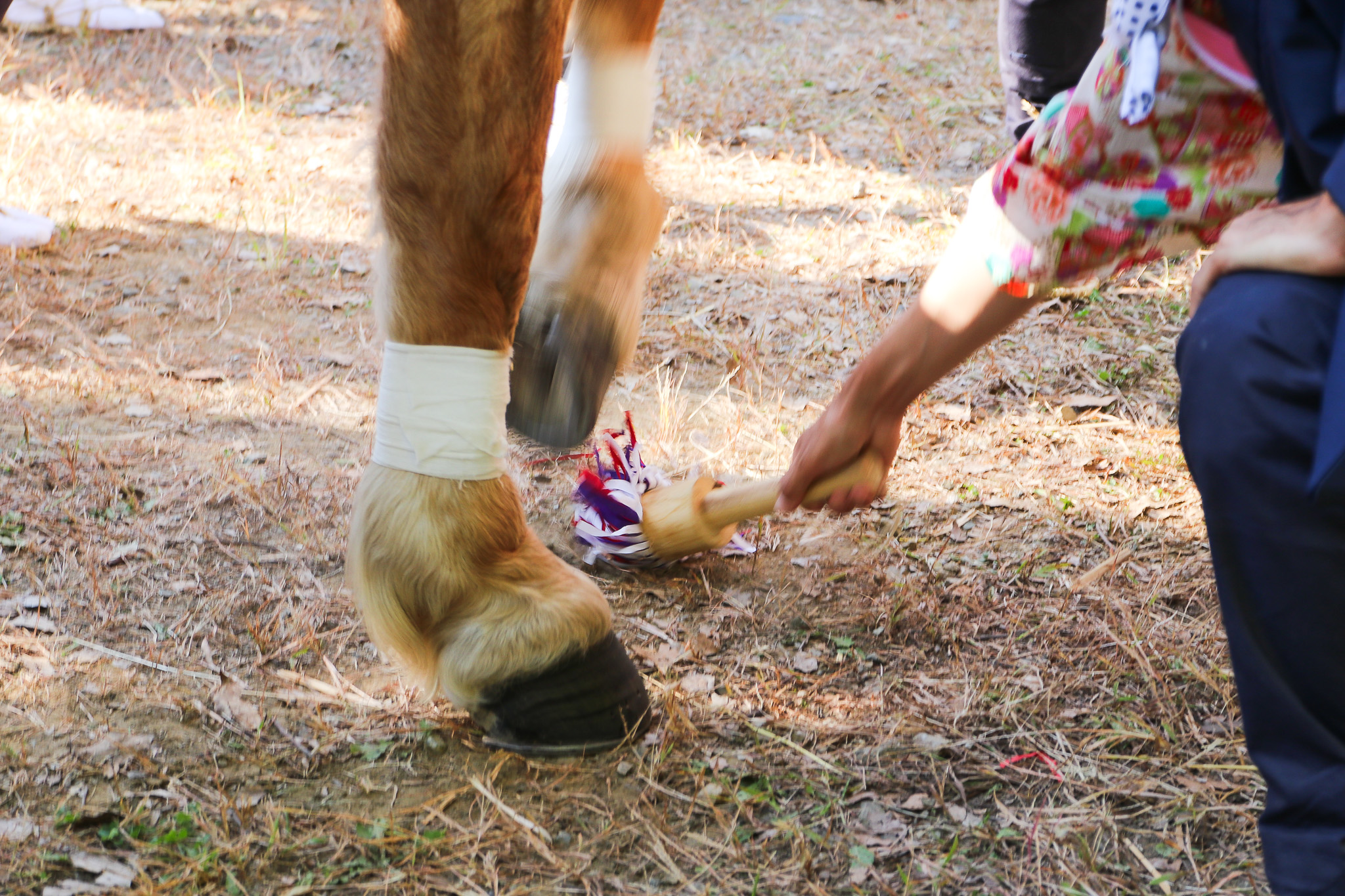 出雲伊波比神社の流鏑馬