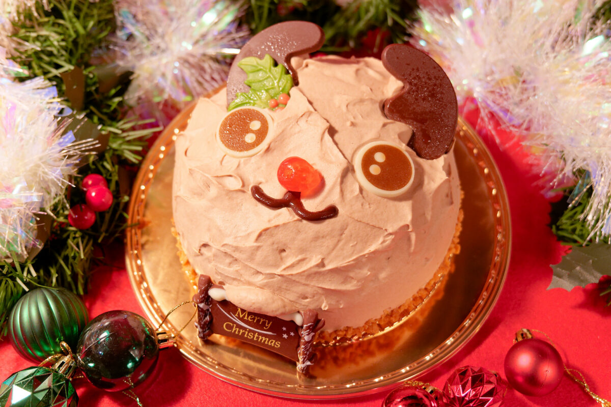 シャトレーゼの2023年ファミリー向けクリスマスケーキを食レポ♪キュートで楽しい！