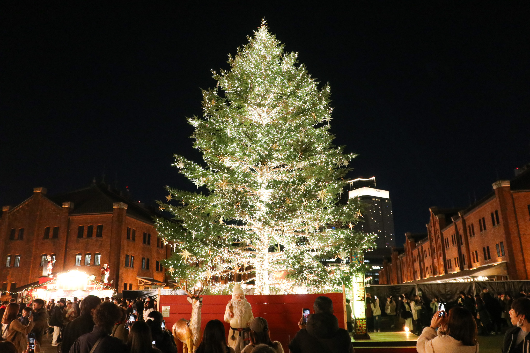 横浜クリスマス