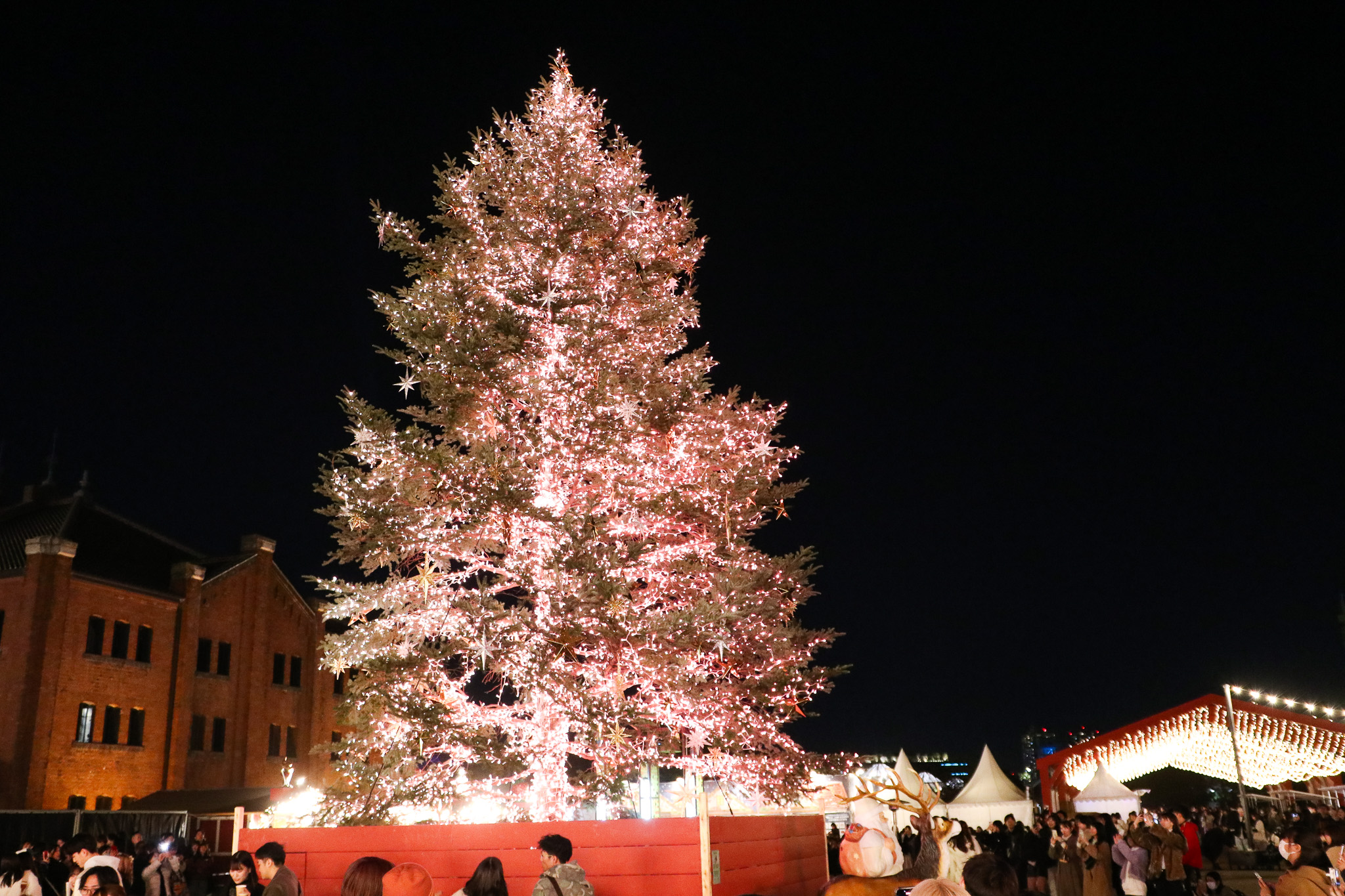 横浜クリスマス