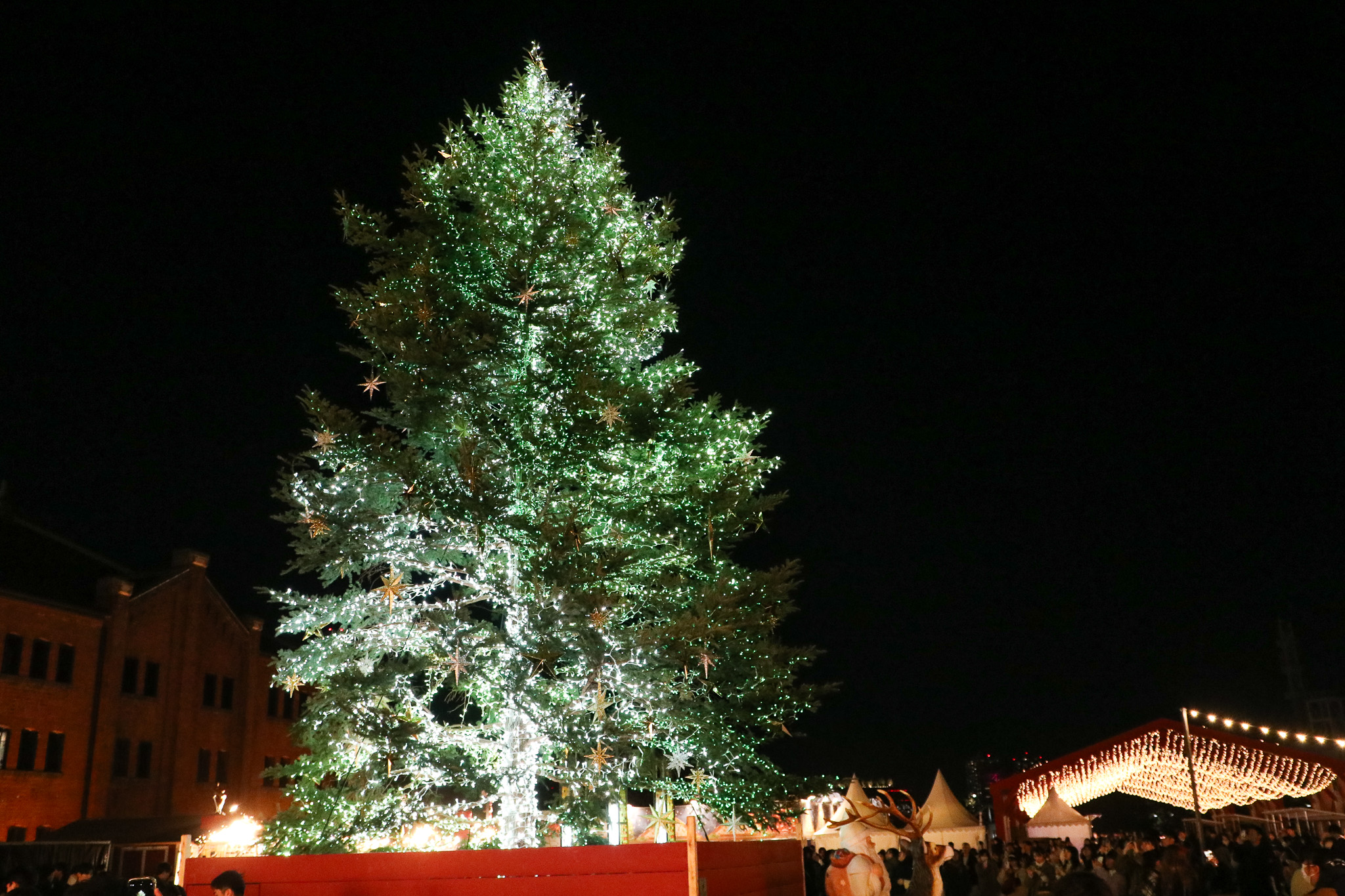 横浜クリスマス