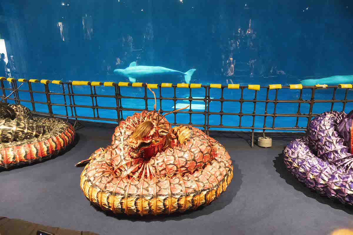 シロイルカプール