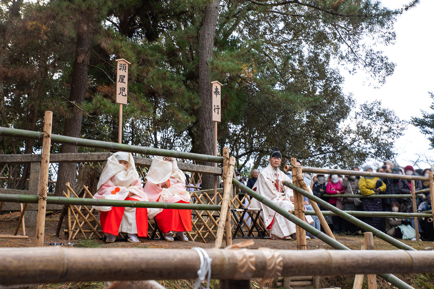 奈良春日大社「春日若宮おん祭」一日中続く神事芸能と1,000名の