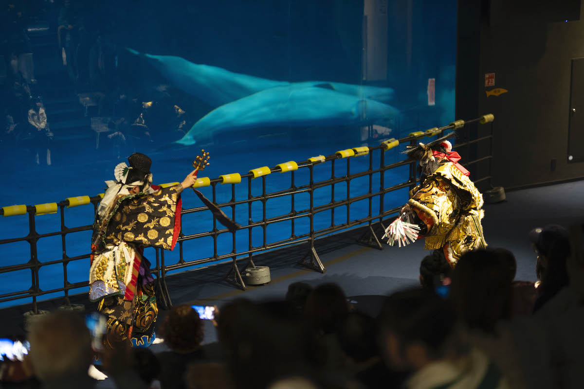 シロイルカプール