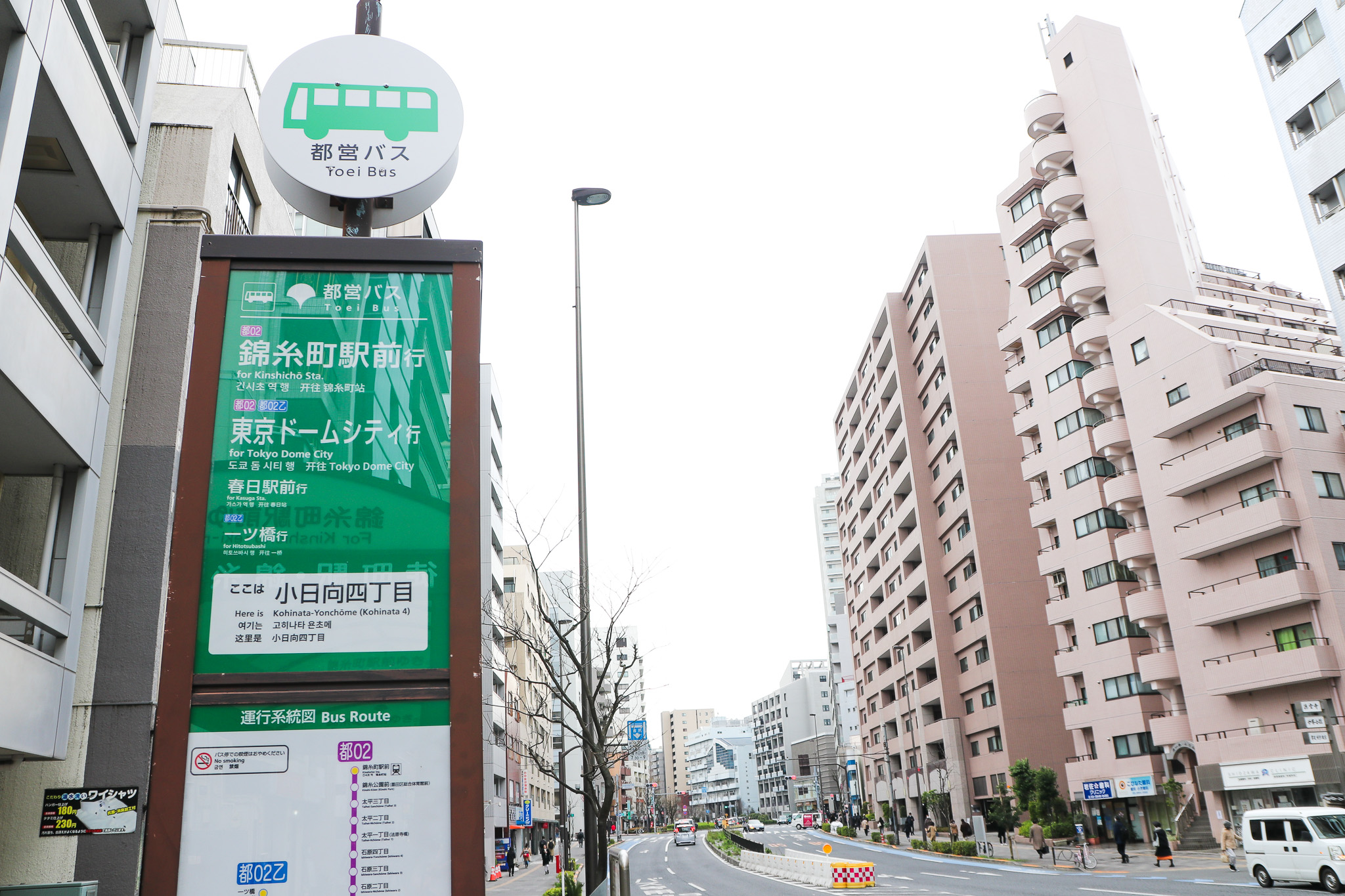 文京さくらまつり