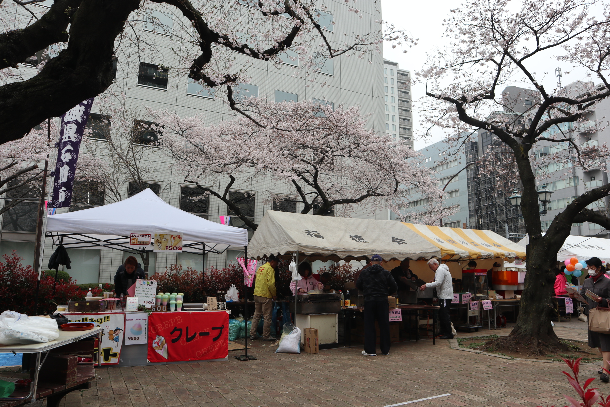 文京さくらまつり