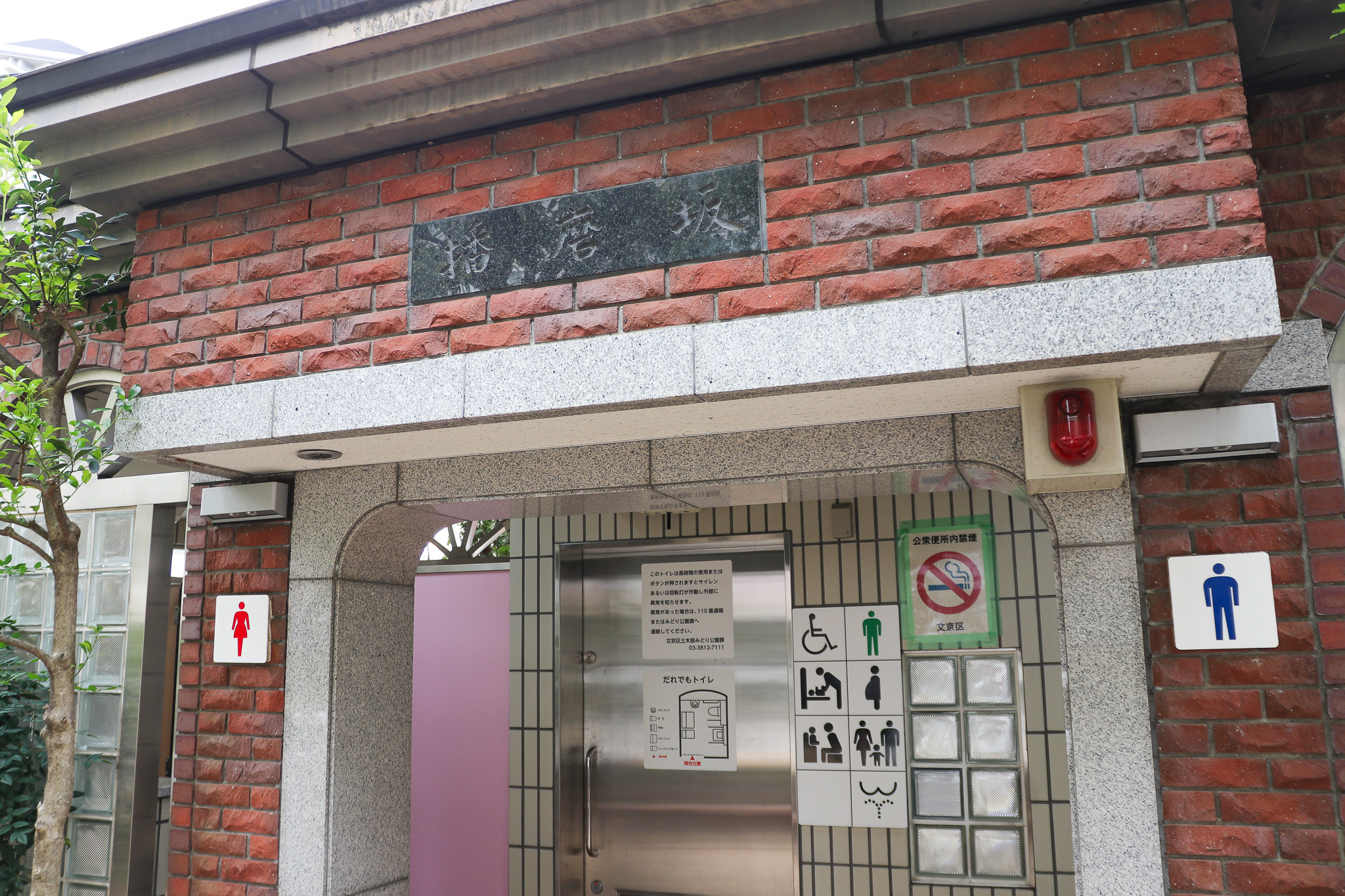 文京さくらまつり