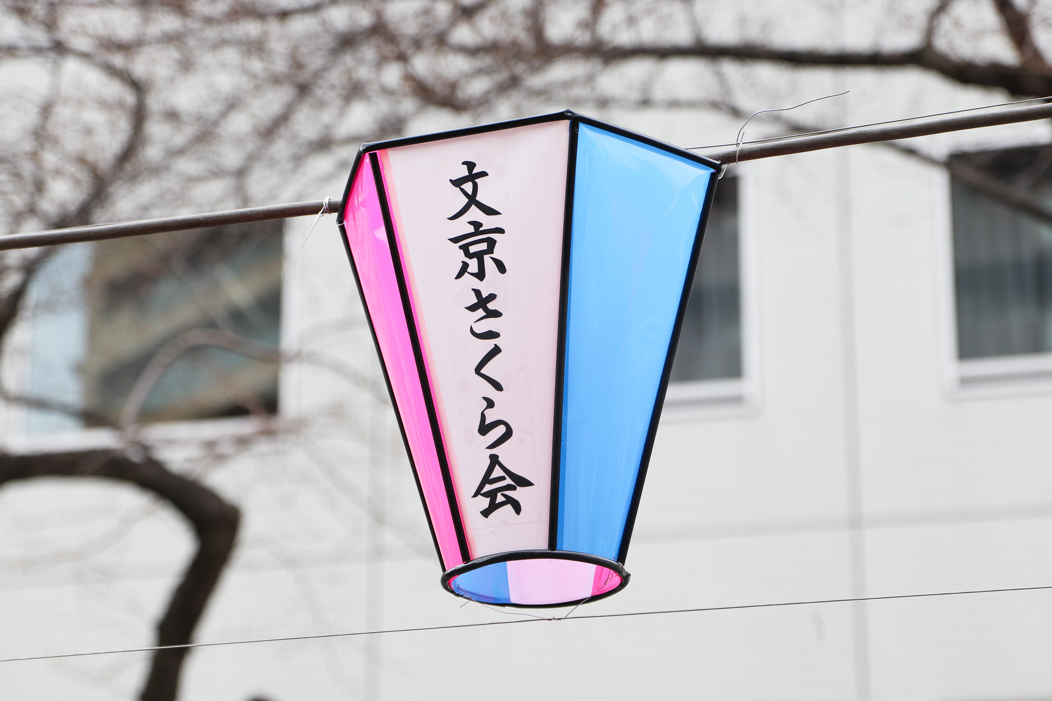 文京さくらまつり