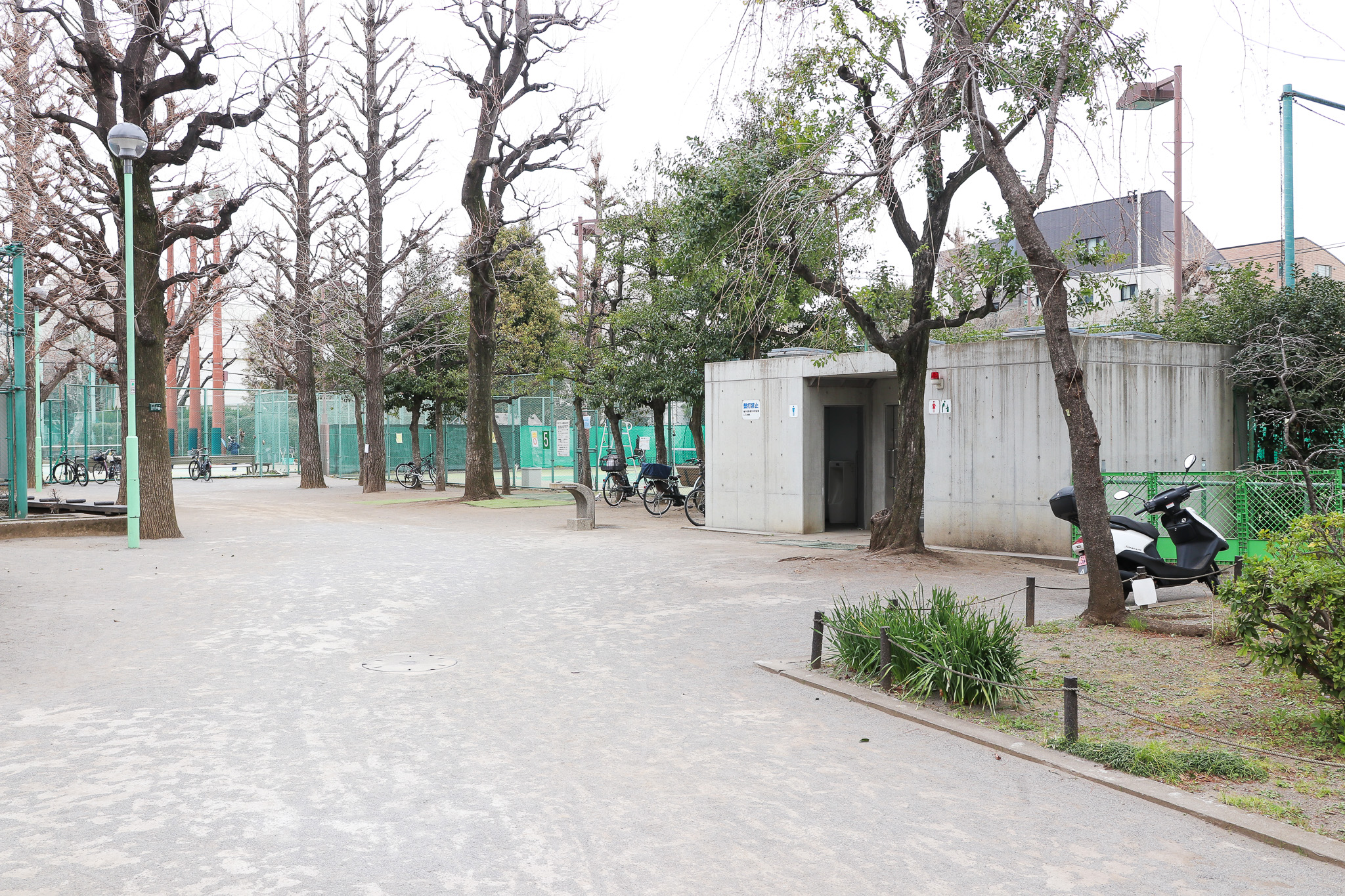 文京さくらまつり