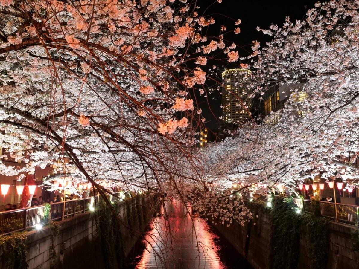 桜まつりプロモーション完全ガイド──全国で展開できる春のサンプリング施策と活用事例