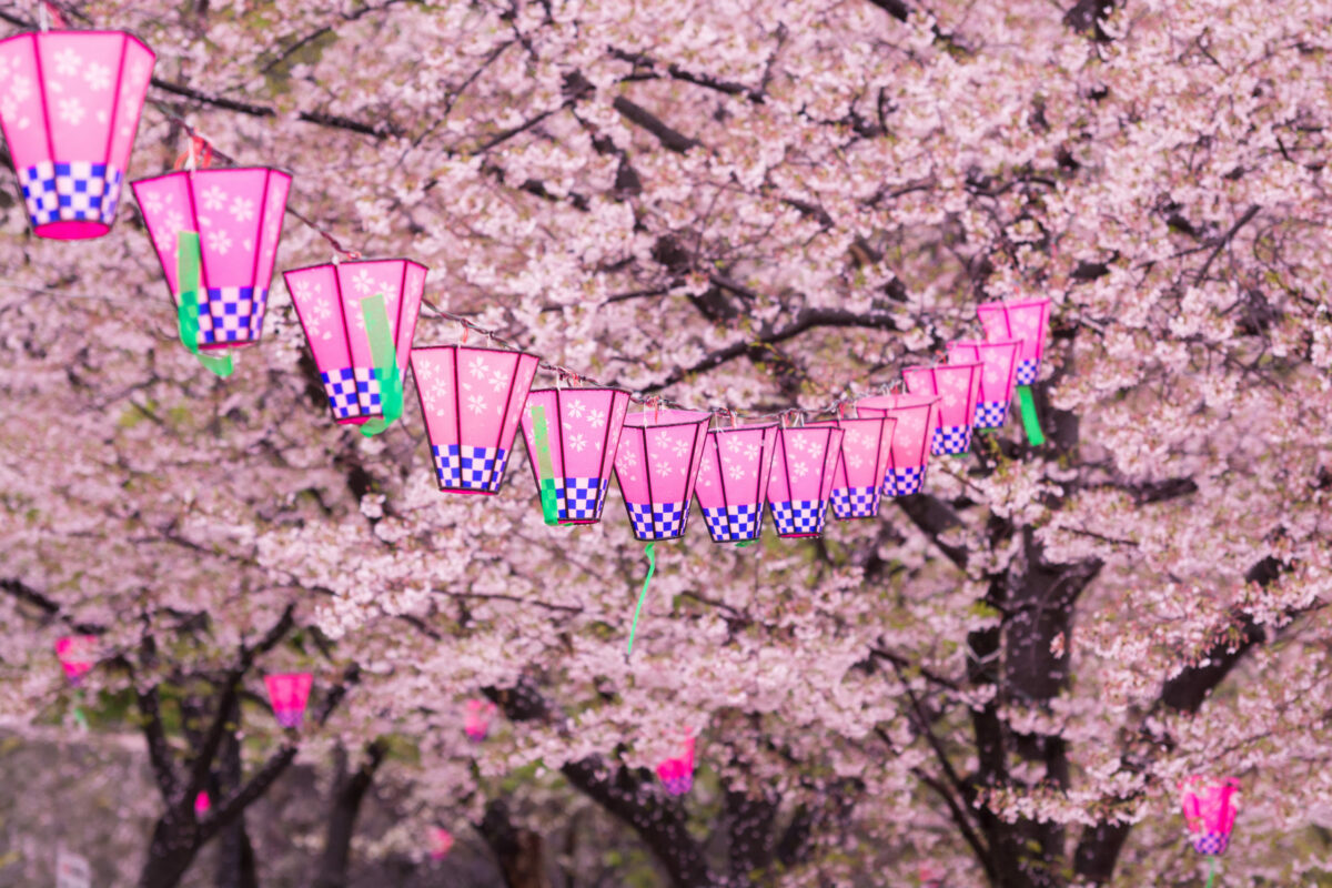 ＜商品PRにお祭り・お花見を活用！＞「桜まつり」で商品をPRしませんか？