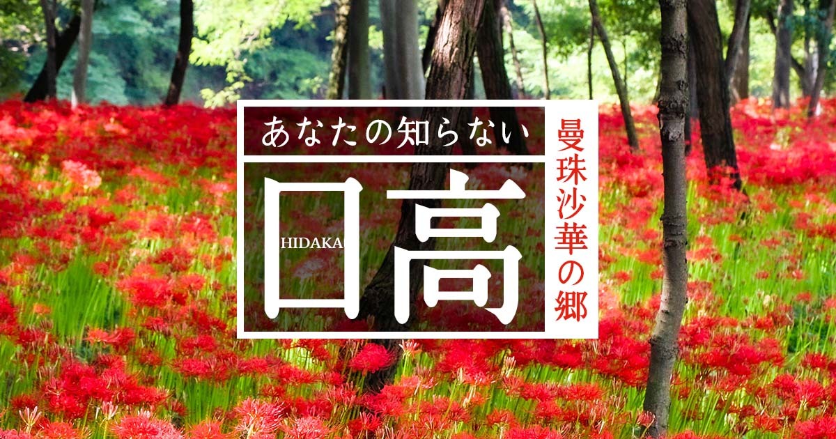 WEBプラットフォーム事業「ブンカジャパン」を埼玉県日高市と開始。 “文化×観光”のストーリーテリングにより、日高地域のファンを創出。