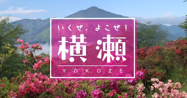 “文化×観光”で、横瀬地域のファンを創出。地域文化の発展を支援する WEBプラットフォーム「ブンカジャパン」を埼玉県横瀬町と開始。